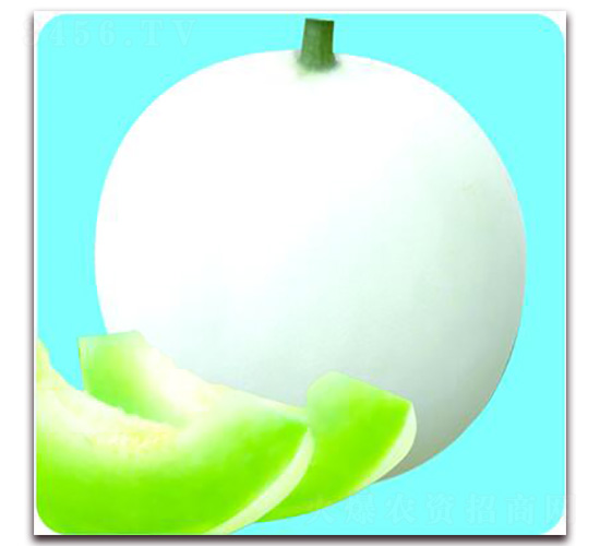 ��Ʒ���-��ϷN��-Ǭ���N�I(y��)