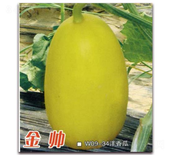 ����-��ϷN��-Ǭ���N�I(y��)