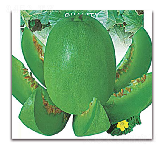 �G����-��ϷN��-Ǭ���N�I(y��)