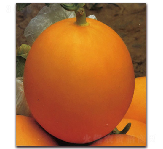 ��������ɯ��-��ϷN��-Ǭ���N�I(y��)