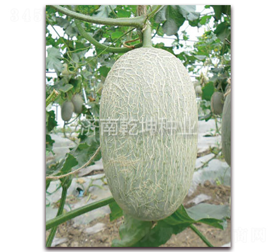 �A���L����-���ܹϷN��-Ǭ���N�I(y��)