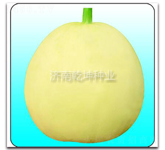 Ǭ��2̖-��ϷN��-Ǭ���N�I(y��)