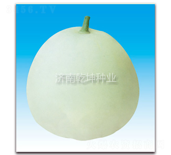 ��ѩ��-��ϷN��-Ǭ���N�I(y��)