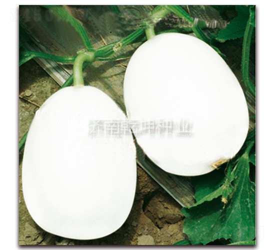 ����-��ϷN��-Ǭ���N�I(y��)