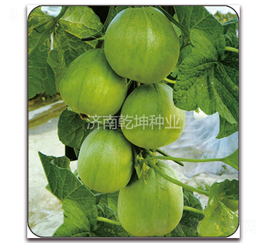 �G��ʯ-��ϷN��-Ǭ���N�I(y��)