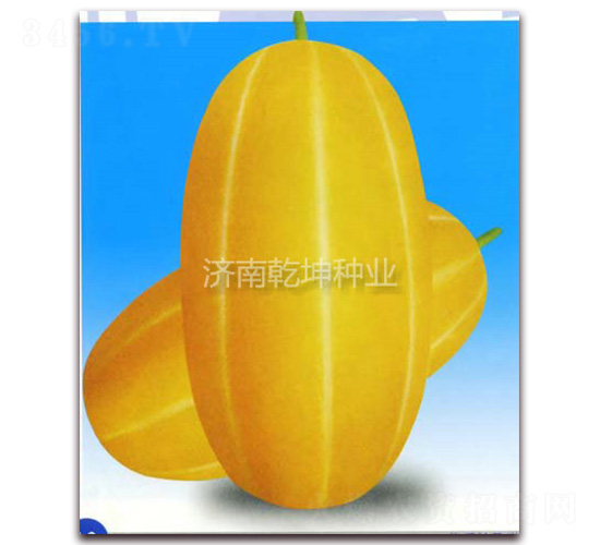 ���-��ϷN��-Ǭ���N�I(y��)