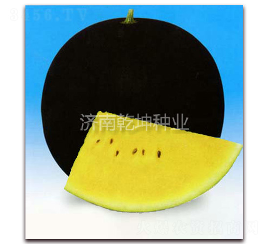 ����-���ϷN��-Ǭ���N�I(y��)