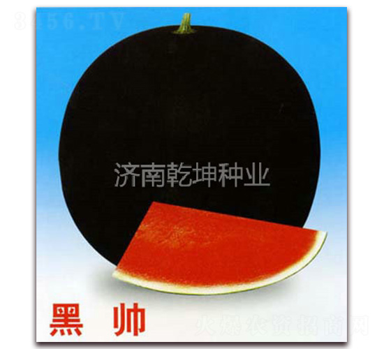 �ڎ�-���ϷN��-Ǭ���N�I(y��)