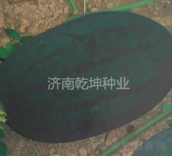 �_�����������-���ϷN��-Ǭ���N�I(y��)