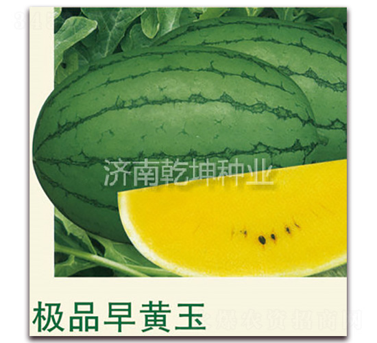 �OƷ���S��-���ϷN��-Ǭ���N�I(y��)