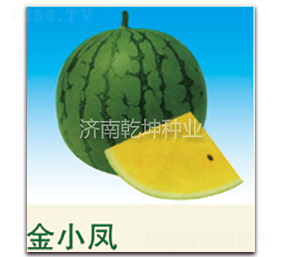 ��С�P-���ϷN��-Ǭ���N�I(y��)