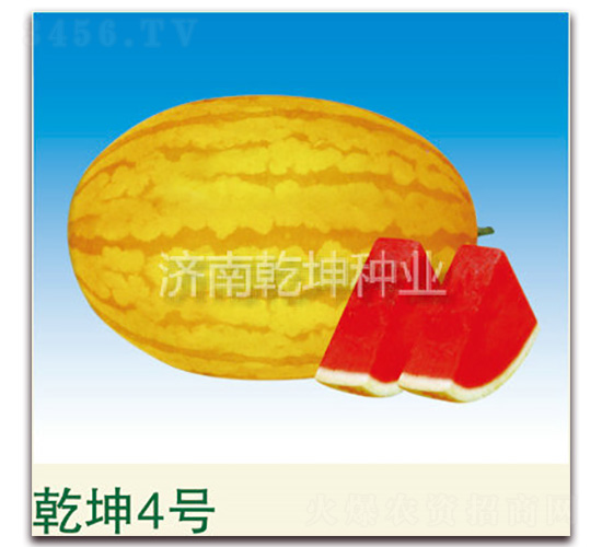 Ǭ��4̖-���ϷN��-Ǭ���N�I(y��)