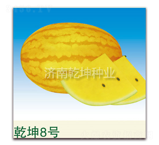 Ǭ��8̖-���ϷN��-Ǭ���N�I(y��)