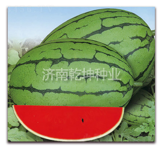 �ļ��S-���ϷN��-Ǭ���N�I(y��)