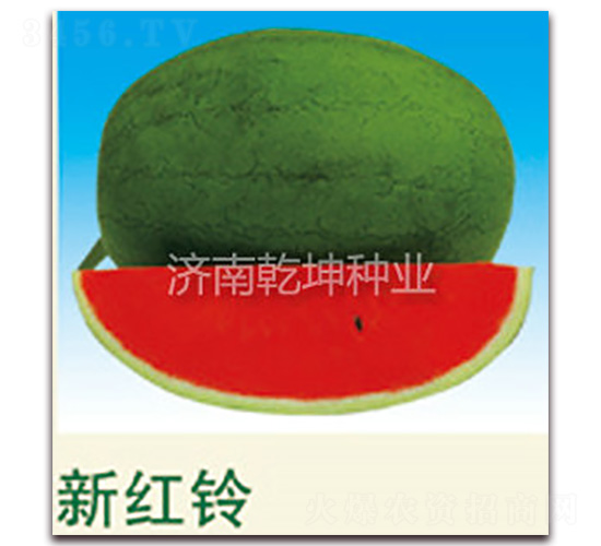 �¼t�-���ϷN��-Ǭ���N�I(y��)