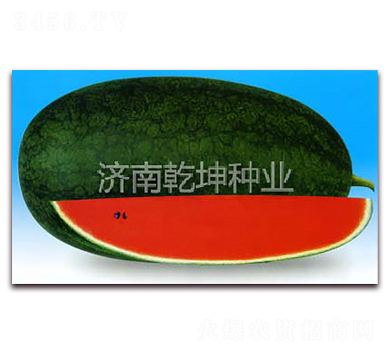 ���x������-���ϷN��-Ǭ���N�I(y��)