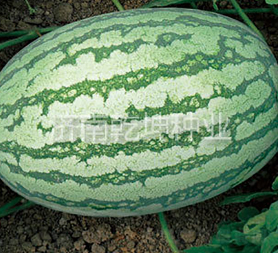 ��(y��u)��5̖-���ϷN��-Ǭ���N�I(y��)