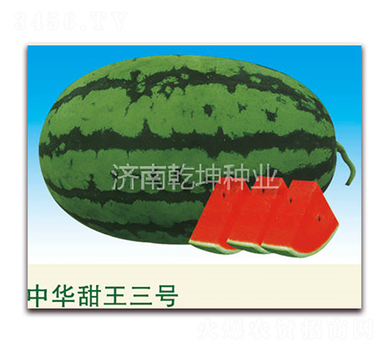 ���A������̖(h��o)-���ϷN��-Ǭ���N�I(y��)