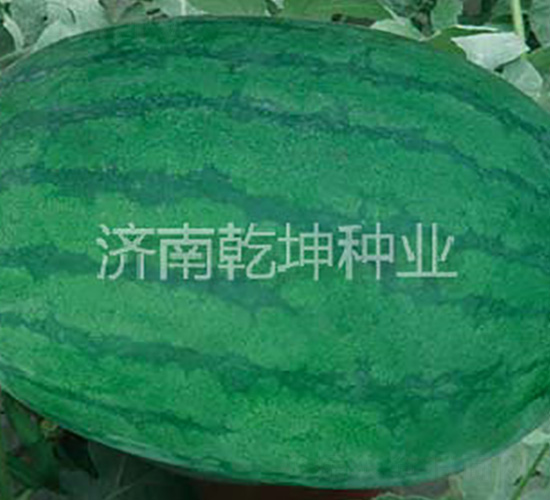 �߿��°�̖-���ϷN��-Ǭ���N�I(y��)