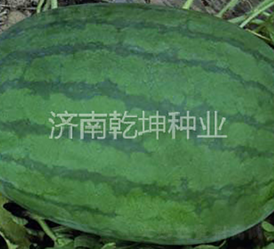 �ش�߿������L-���ϷN��-Ǭ���N�I(y��)