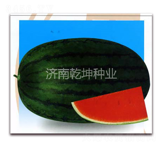 �ش�߿�888-���ϷN��-Ǭ���N�I(y��)