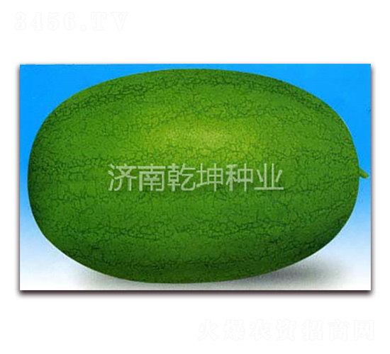 Ԫ��-���ϷN��-Ǭ���N�I(y��)