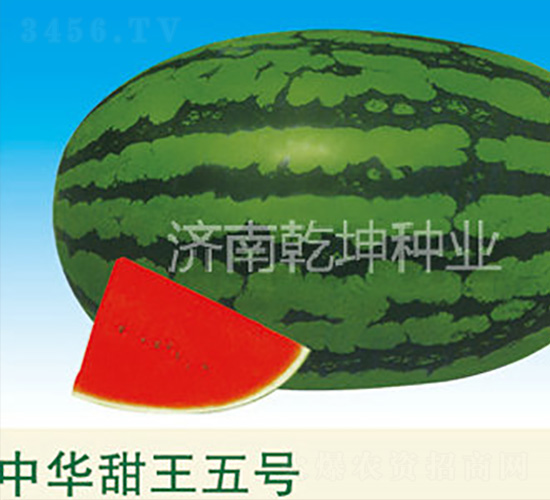 ���A������̖(h��o)-���ϷN��-Ǭ���N�I(y��)