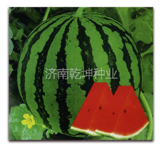 ��(y��u)�x8424-���ϷN��-Ǭ���N�I(y��)