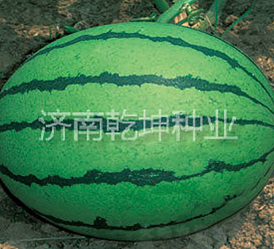 ������Ʒ����-���ϷN��-Ǭ���N�I(y��)