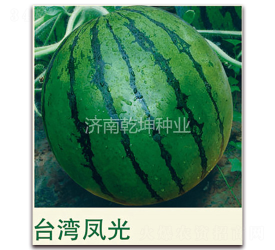 ���x�_(t��i)���L(f��ng)��-���ϷN��-Ǭ���N�I(y��)