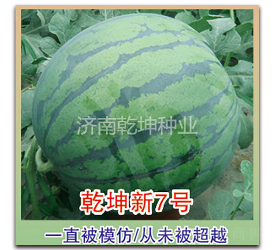 Ǭ����7̖(h��o)-���ϷN��-Ǭ���N�I(y��)