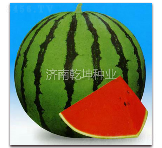 ����һ̖(h��o)-���ϷN��-Ǭ���N�I(y��)