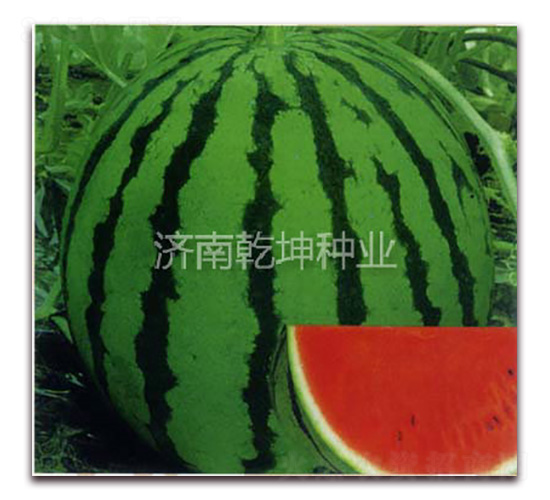 ����816-���ϷN��-Ǭ���N�I(y��)