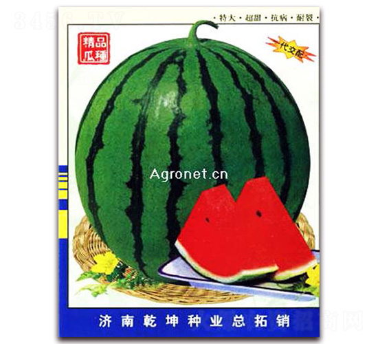 ������̖(h��o)-���ϷN��-Ǭ���N�I(y��)