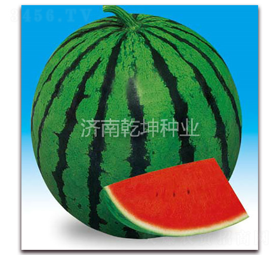 ��������-���ϷN��-Ǭ���N�I(y��)