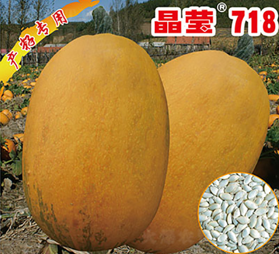 ����718-�����J�N��-�x���