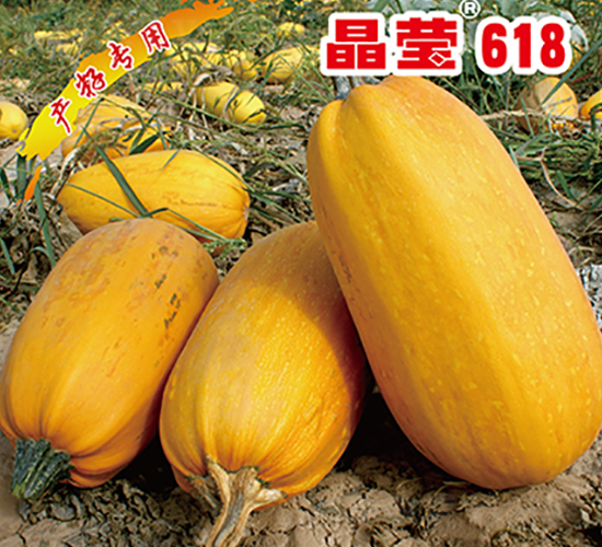 ����618-�����J�N��-�x���