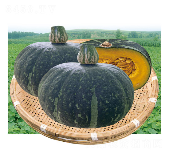 С��ؐ�Ϲ�F1-�ϹϷN��-��̩�_(d��)