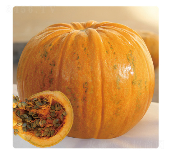 ��֮��-�ϹϷN��-��̩�_(d��)