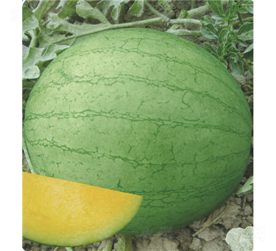 ��Ů����-���ϷN��-��̩�_(d��)