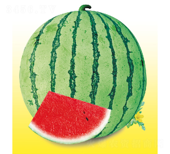 ������̖(h��o)-���ϷN��-��̩�_(d��)