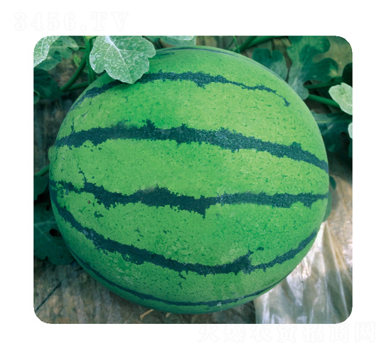 �ļ�����3̖-���ϷN��-��̩�_(d��)