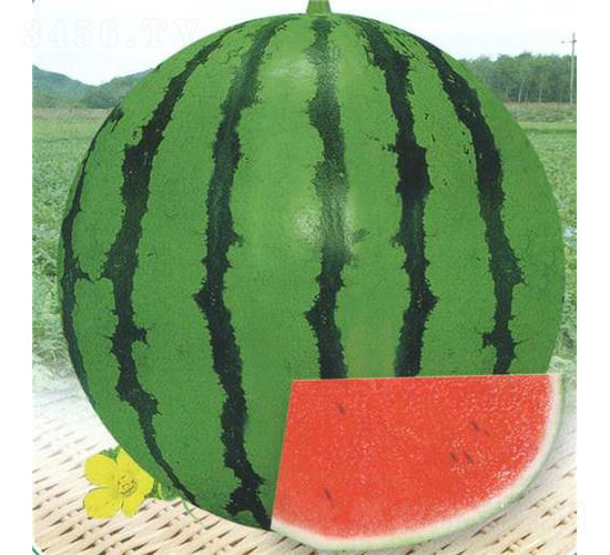 �ļ�����-���ϷN��-��̩�_(d��)