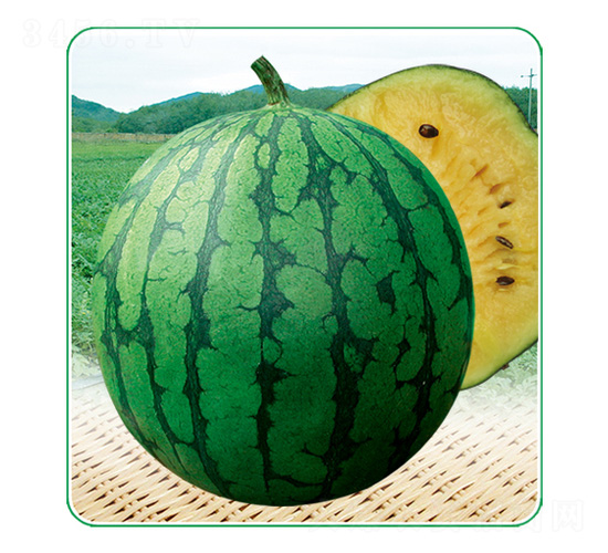 �ļ��ᭇ5̖-���ϷN��-��̩�_(d��)