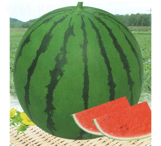 �ձ�����-���ϷN��-��̩�_(d��)