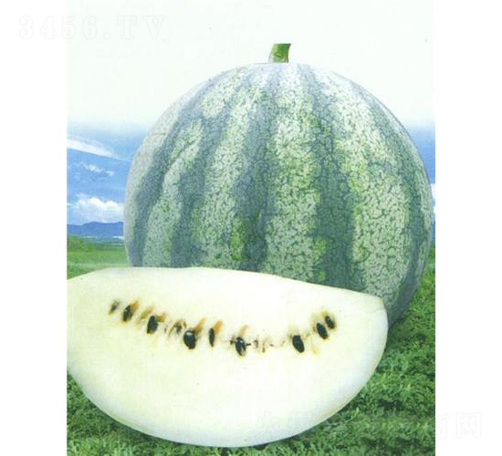 ȿ����̖(h��o)-���ϷN��-��̩�_(d��)