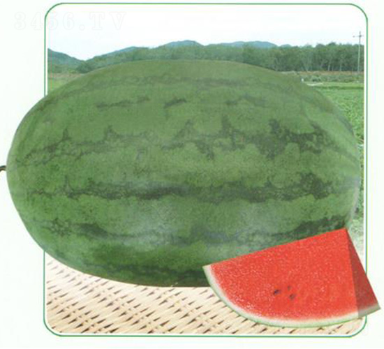 ����������-���ϷN��-��̩�_(d��)