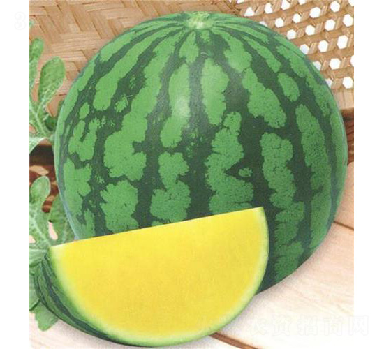 ��������-���ϷN��-��̩�_(d��)