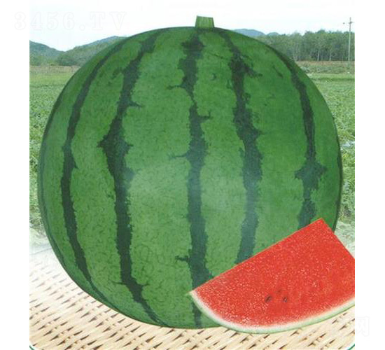 ��������-���ϷN��-��̩�_(d��)