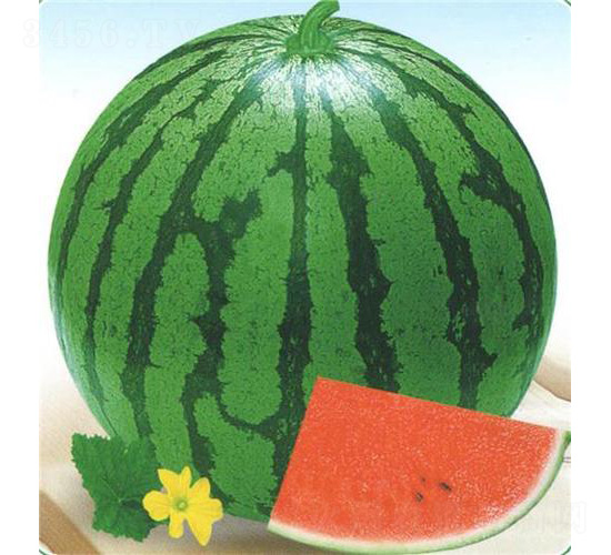 �A������-���ϷN��-��̩�_(d��)